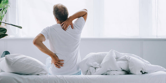 Put back pain to sleep for good