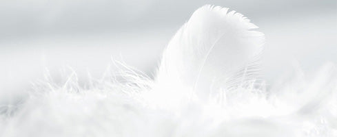 Down vs. Feather